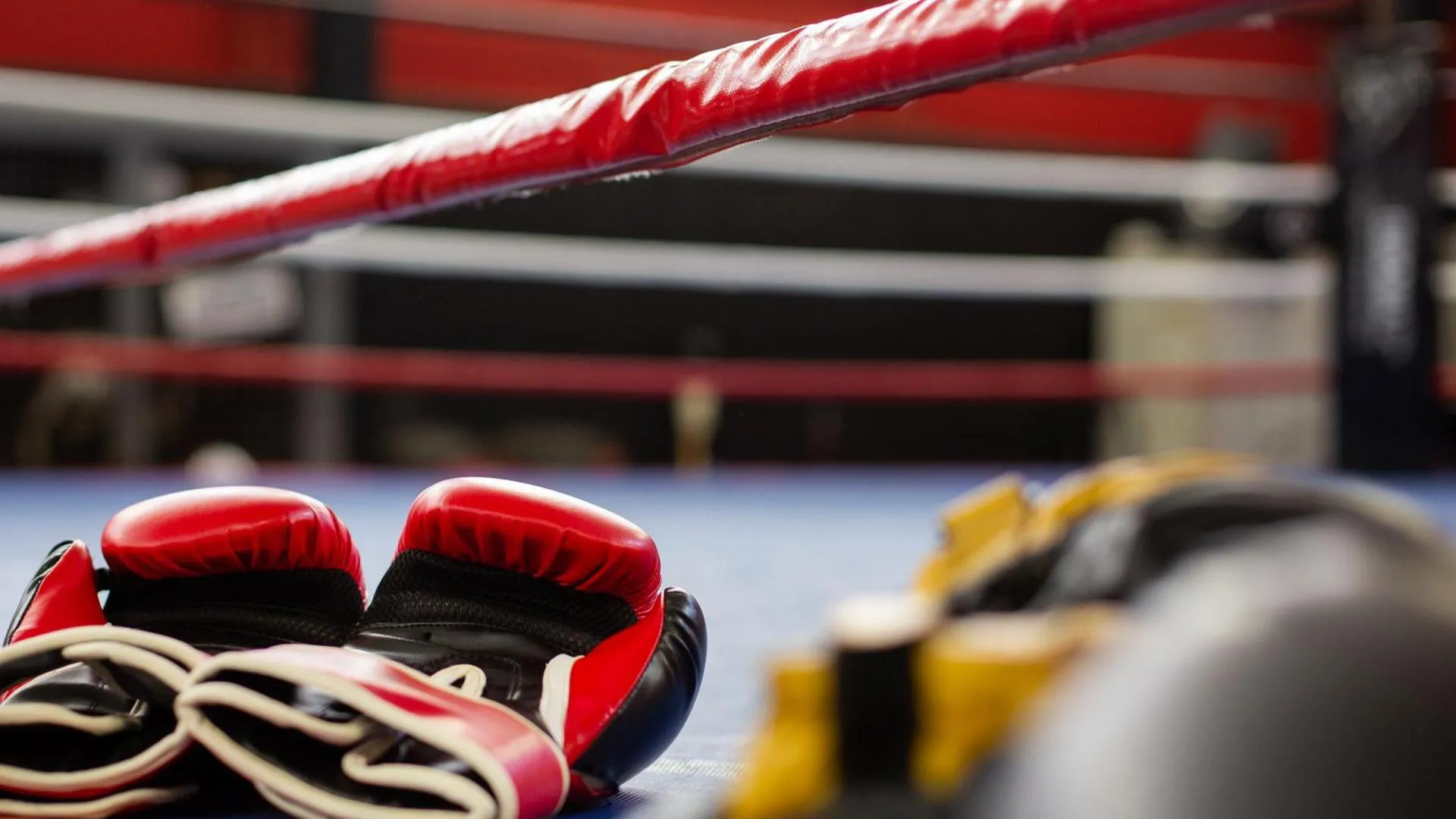 India Shine as Pawan & Hitesh Seal Stunning Wins at World Boxing Cup Finals